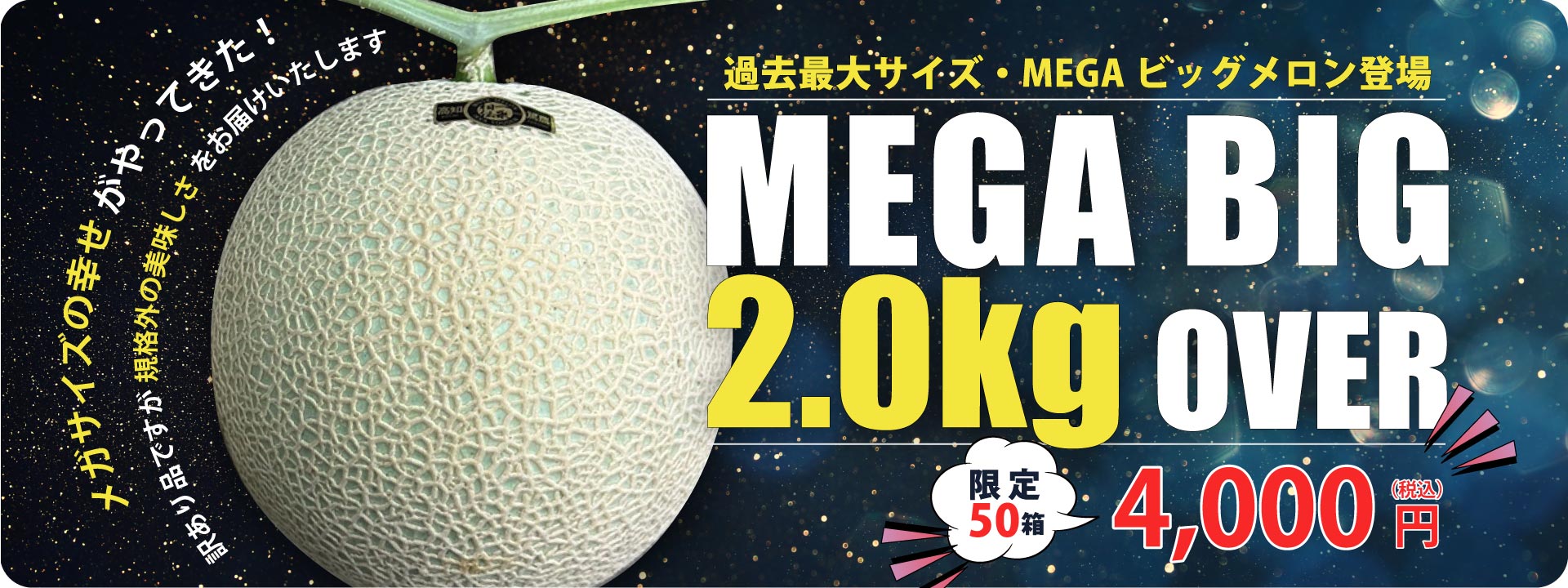 メガビックメロン