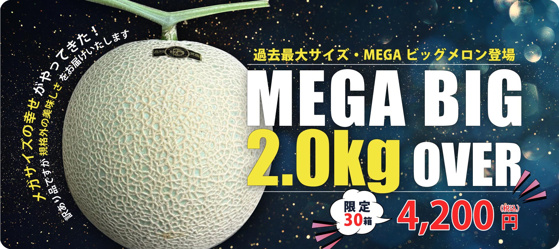 main_megabig2kg.jpg