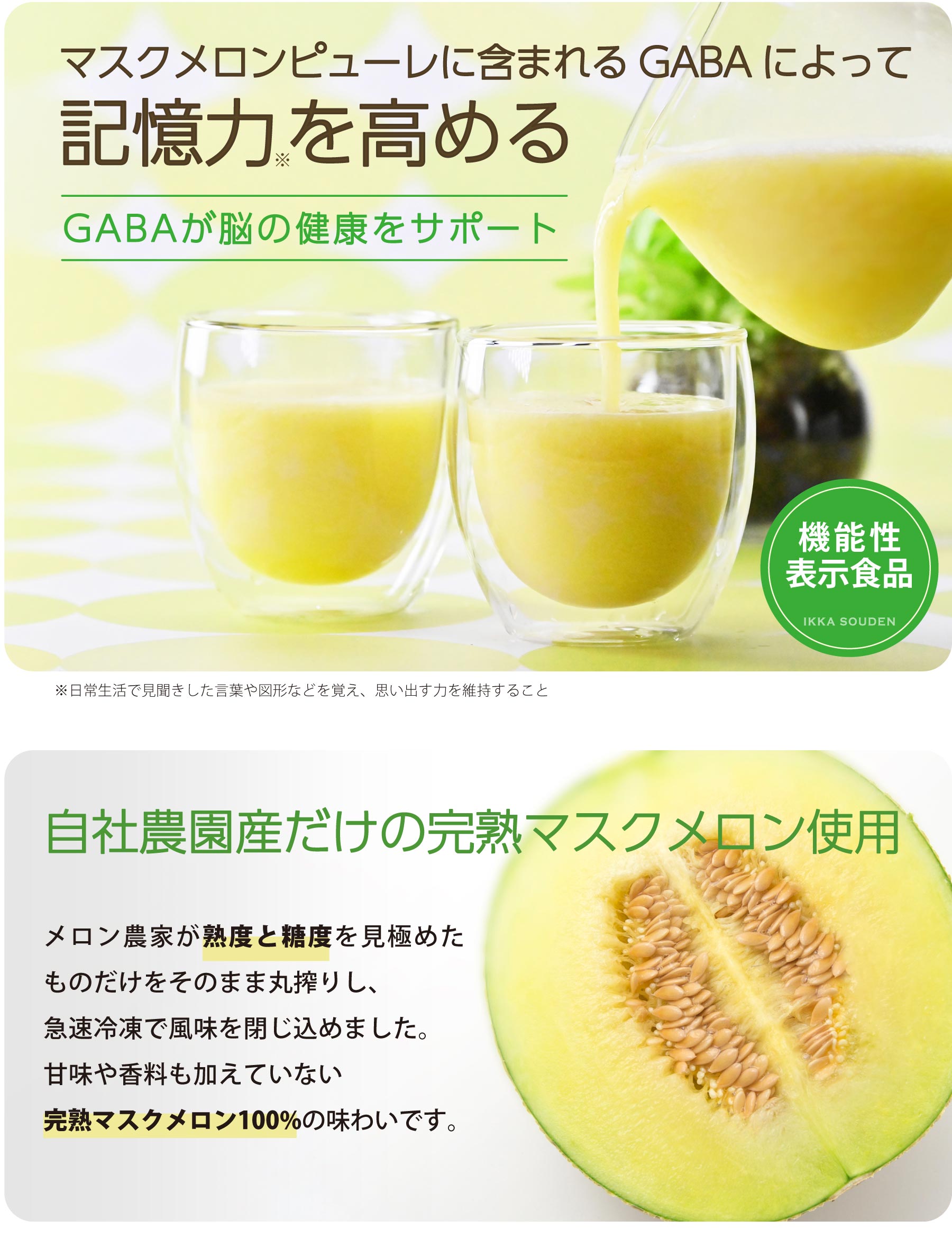 マスクメロンピューレに含まれるGABAによって記憶力を高める