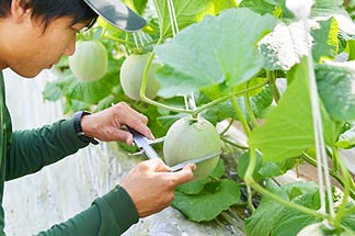 トレーニングハウス