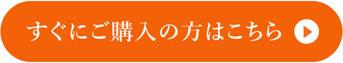 お試しマスクメロンを購入