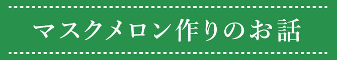 メロン作りのお話