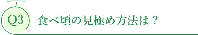 食べ頃の見極め方法は ?