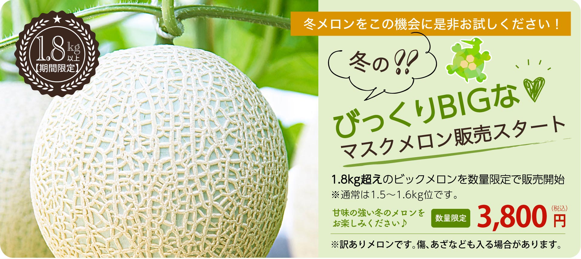 びっくりビックメロン