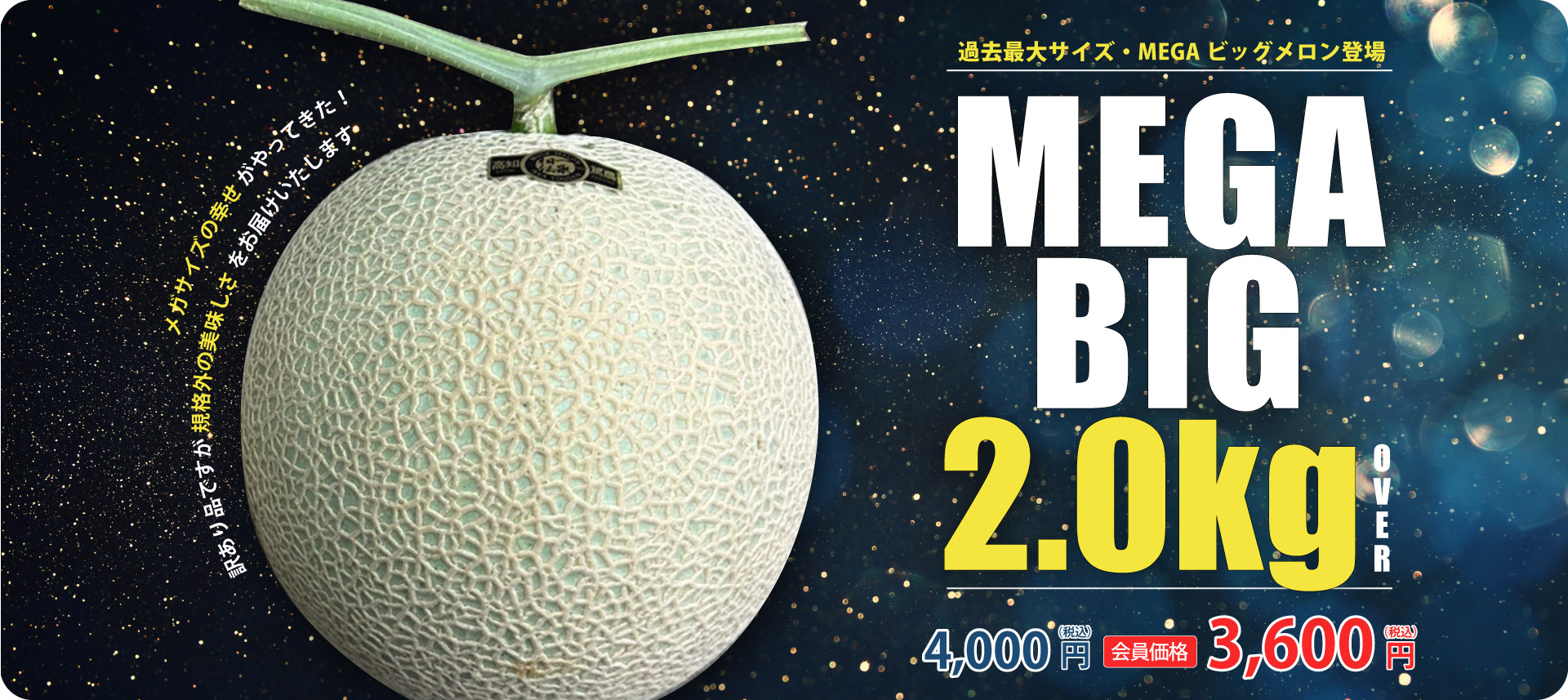 main_megabig2kg.jpg