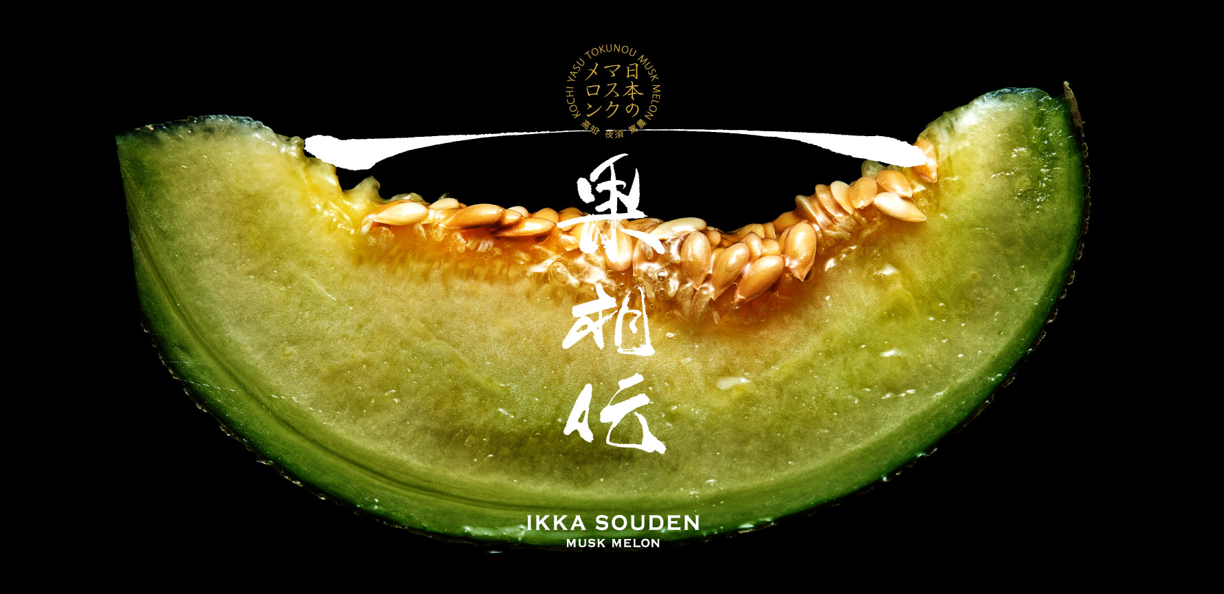 main_melon3.jpg