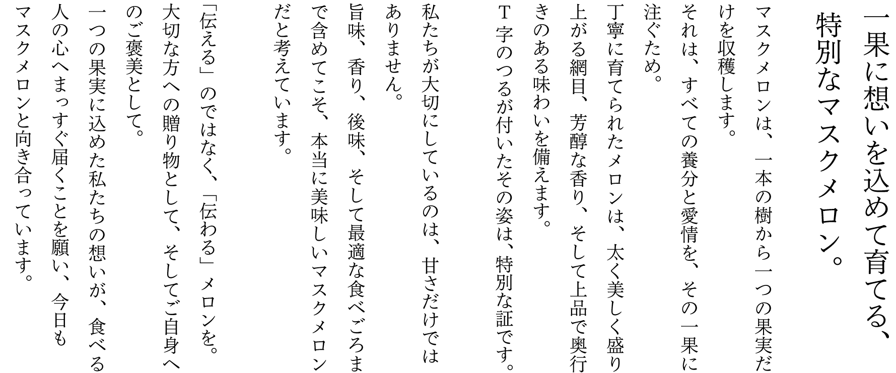 一果に想いを込めて育てる、特別なマスクメロン。