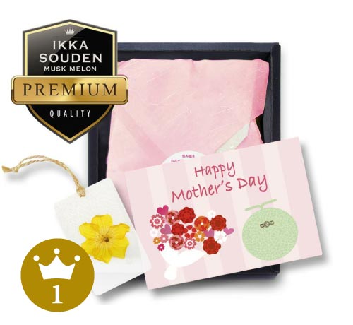 母の日のプレゼントメロン | 一つの果実で伝わる一果相伝