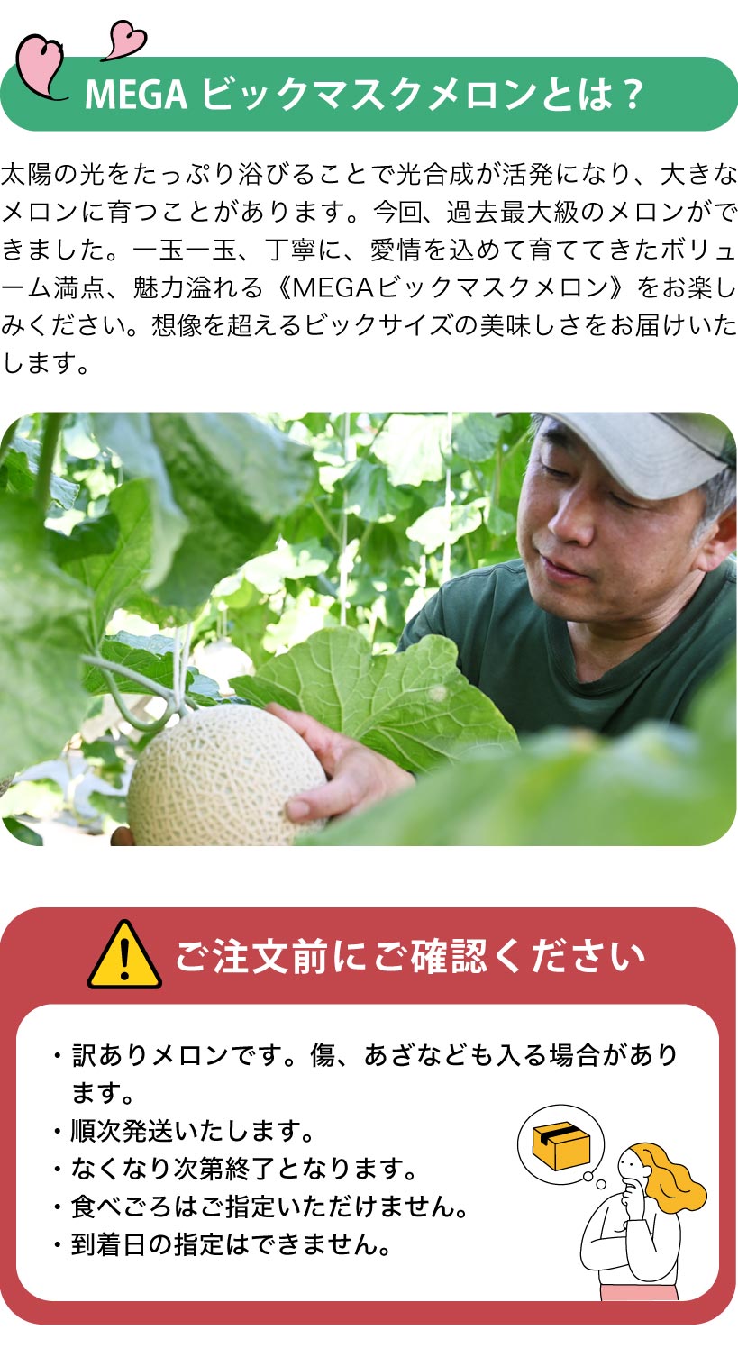 MEGAビックマスクメロンとは？