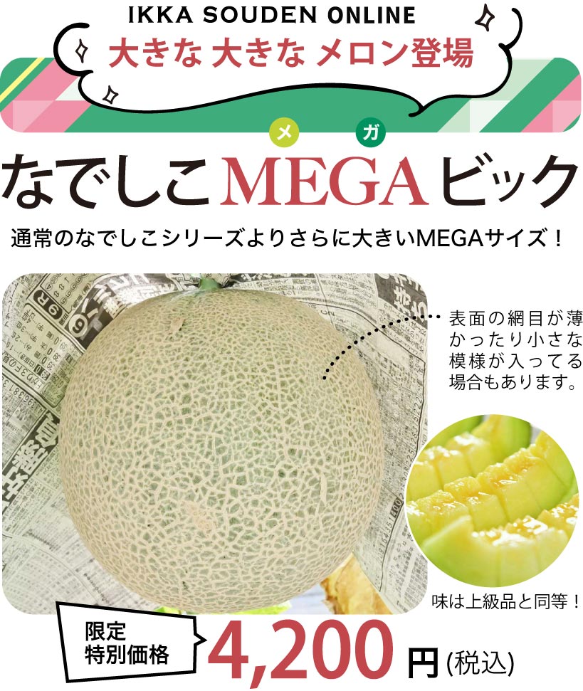 【MEGAビッグ】マスクメロン1玉2kg以上