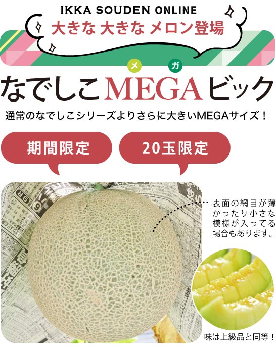 【MEGAビッグ】マスクメロン1玉2kg以上