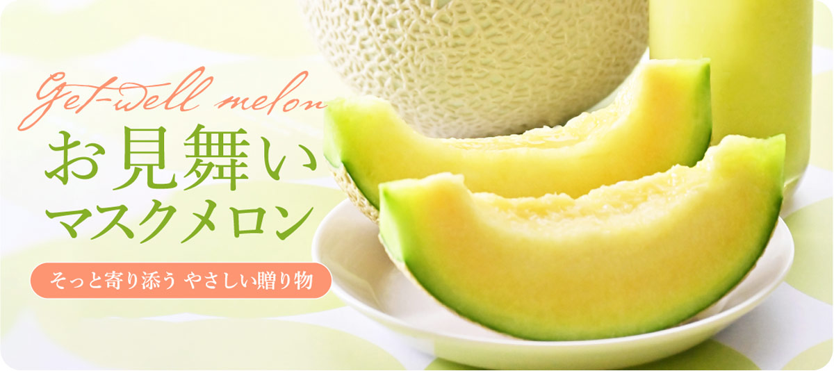 お見舞いメロン
