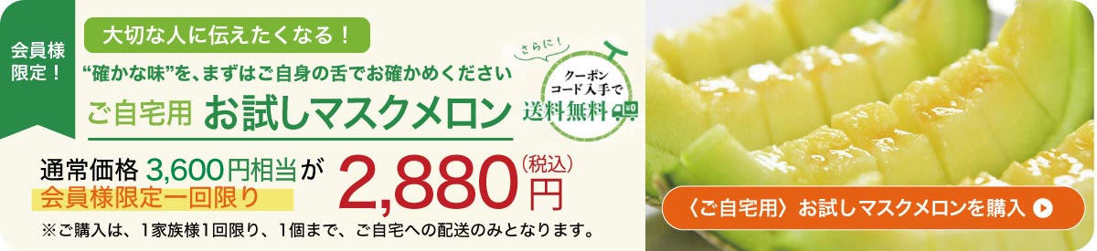 ご自宅用2480円のメロン