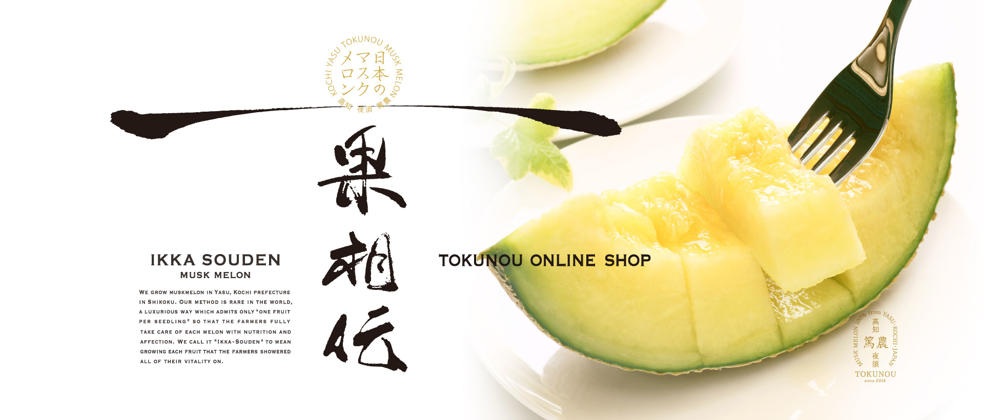【上級品】一果相伝マスクメロン