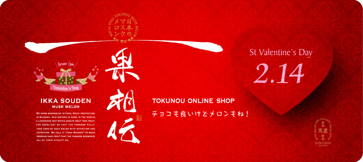 特選】バレンタイン花包みマスクメロン1玉箱入り1.4kg以上（高知県産） | 一つの果実で伝わる一果相伝