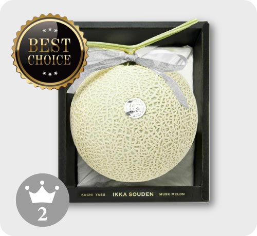 メロン様 ホエイプロテイン（WPC）芳醇メロン | Naturecan （ネイチャーカン）