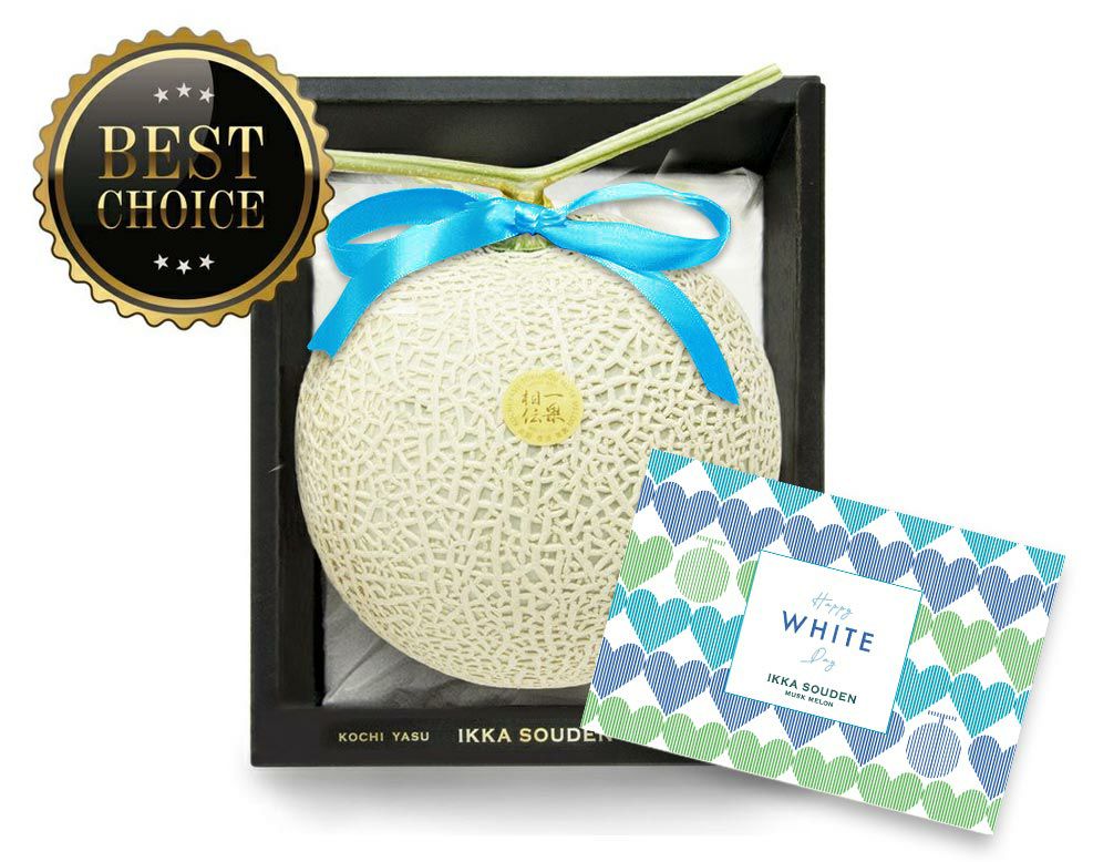 【上級品】ホワイトデー マスクメロン1玉箱入り1.4kg以上