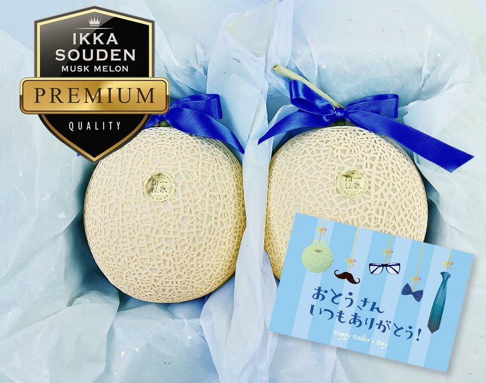 【特選】父の日花包マスクメロン2玉箱入り2.8kg以上