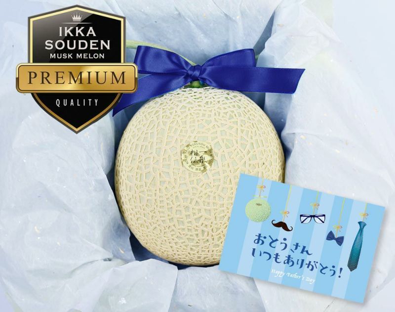 【特選】父の日花包マスクメロン1玉箱入り1.6kg以上