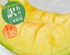 【個性派中身美人】マスクメロン1玉1.5kg以上
