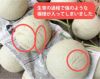 【個性派中身美人】マスクメロン1玉1.5kg以上