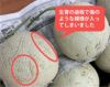 【個性派中身美人】マスクメロン2玉2.8kg以上