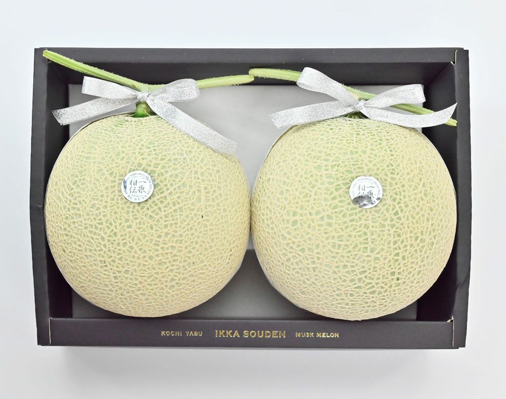  【特選】お供えマスクメロン2玉箱入り3.2kg以上（高知県産）