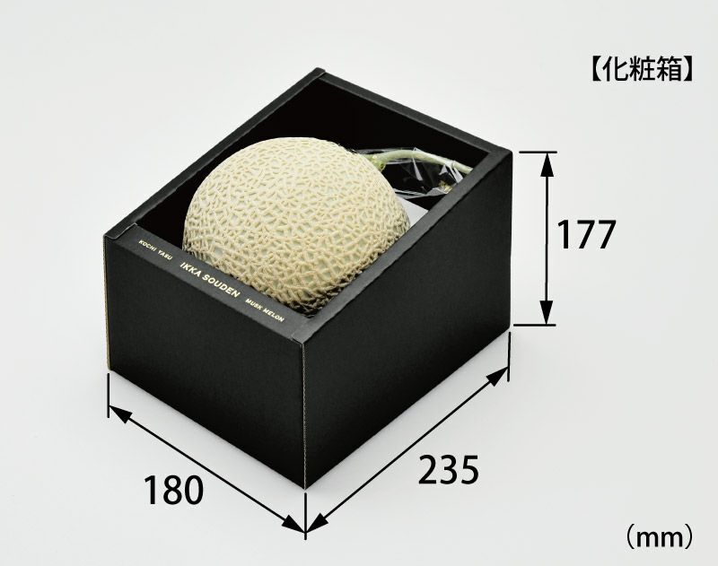 マスクメロン化粧箱サイズ