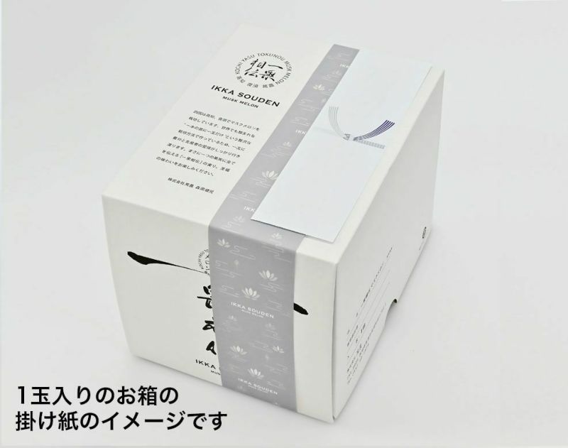 上級品】香典返しマスクメロン1玉1.6kg以上 | 一つの果実で