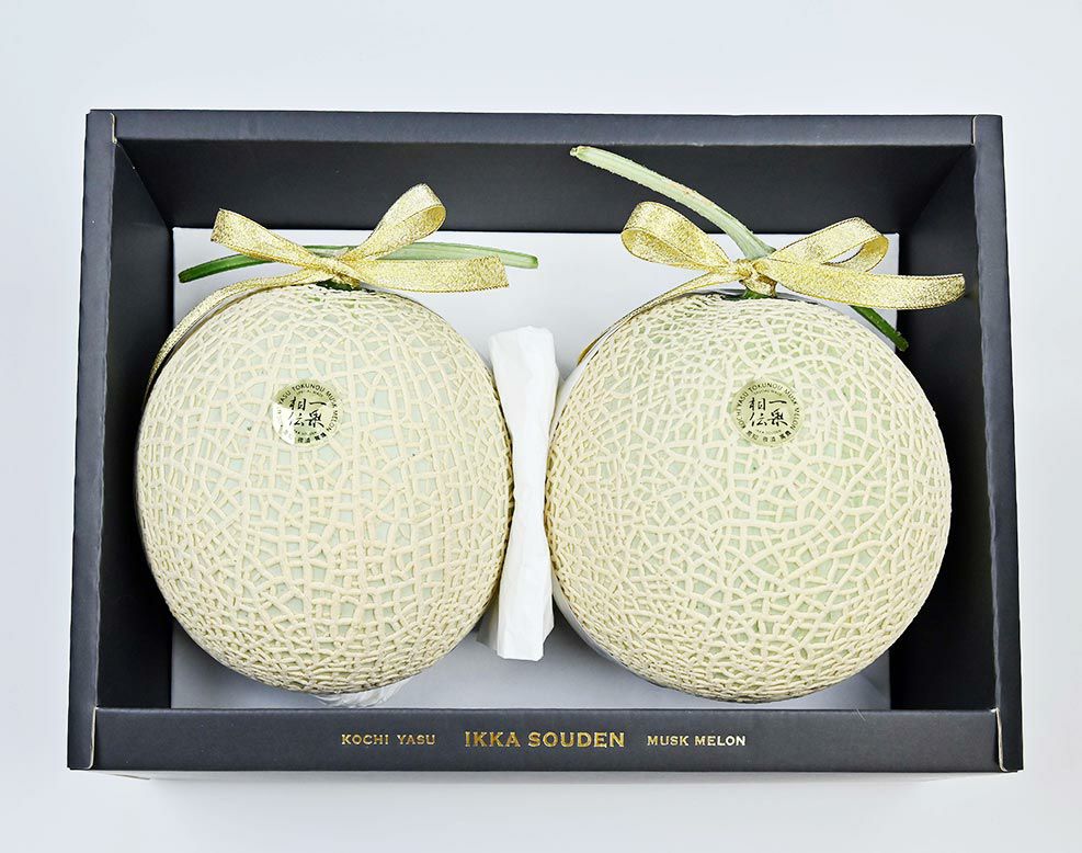 【上級品】引出物 マスクメロン2玉箱入り3.2kg以上