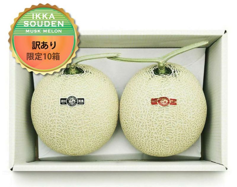 【緑肉＆赤肉】ご家庭用お試しマスクメロン2玉箱入り2.8kg以上