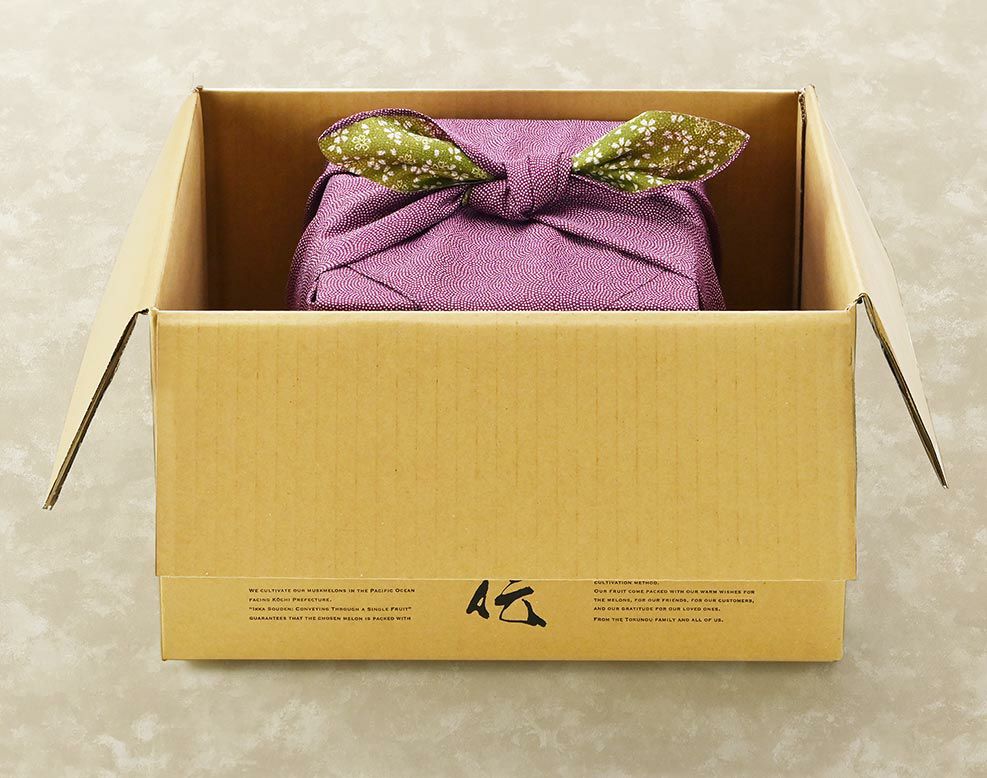 【想】マスクメロン_外箱