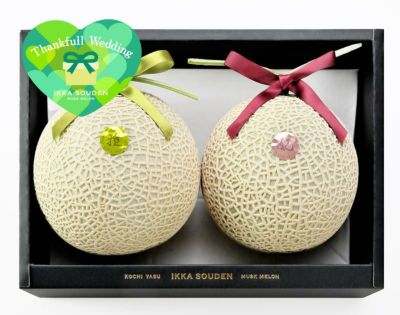 マスクメロン【特選】｜ 一果相伝マスクメロン