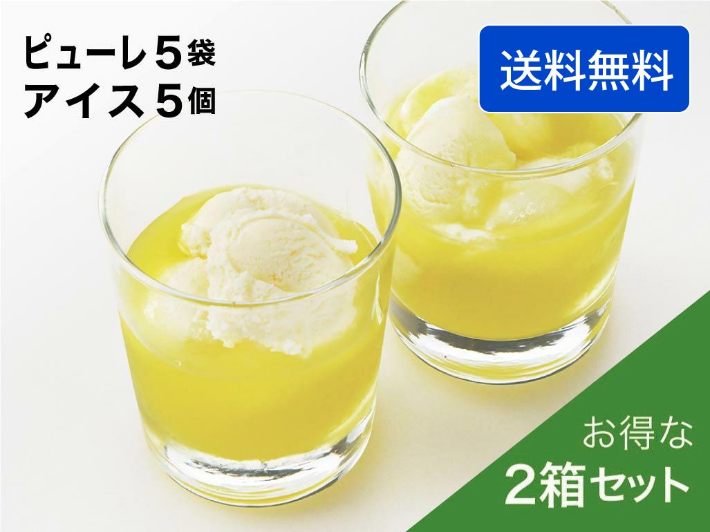 マスクメロンのピューレ5袋と高知のバニラアイス5個