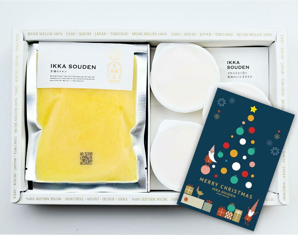 マスクメロンのピューレ3袋と高知のバニラアイス3個