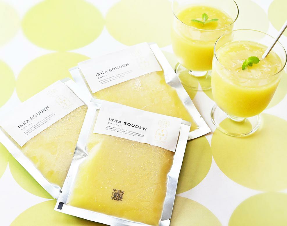 マスクメロンのピューレ5袋と高知のバニラアイス5個