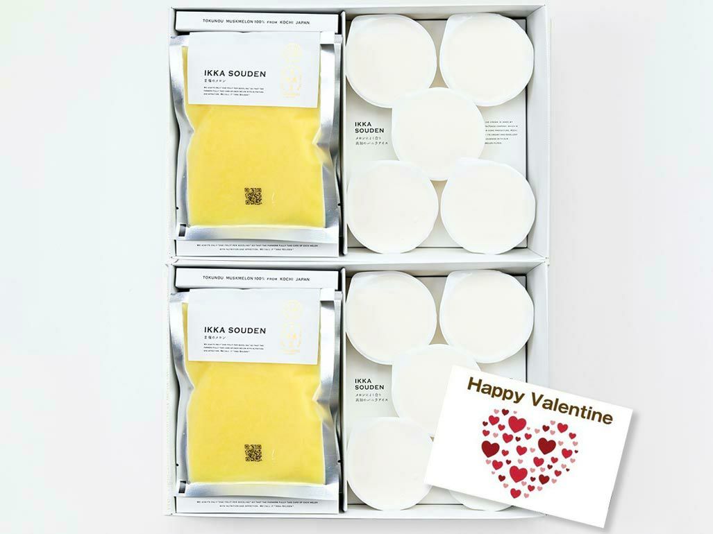  マスクメロンのピューレ5袋と高知のバニラアイス5個【2箱】