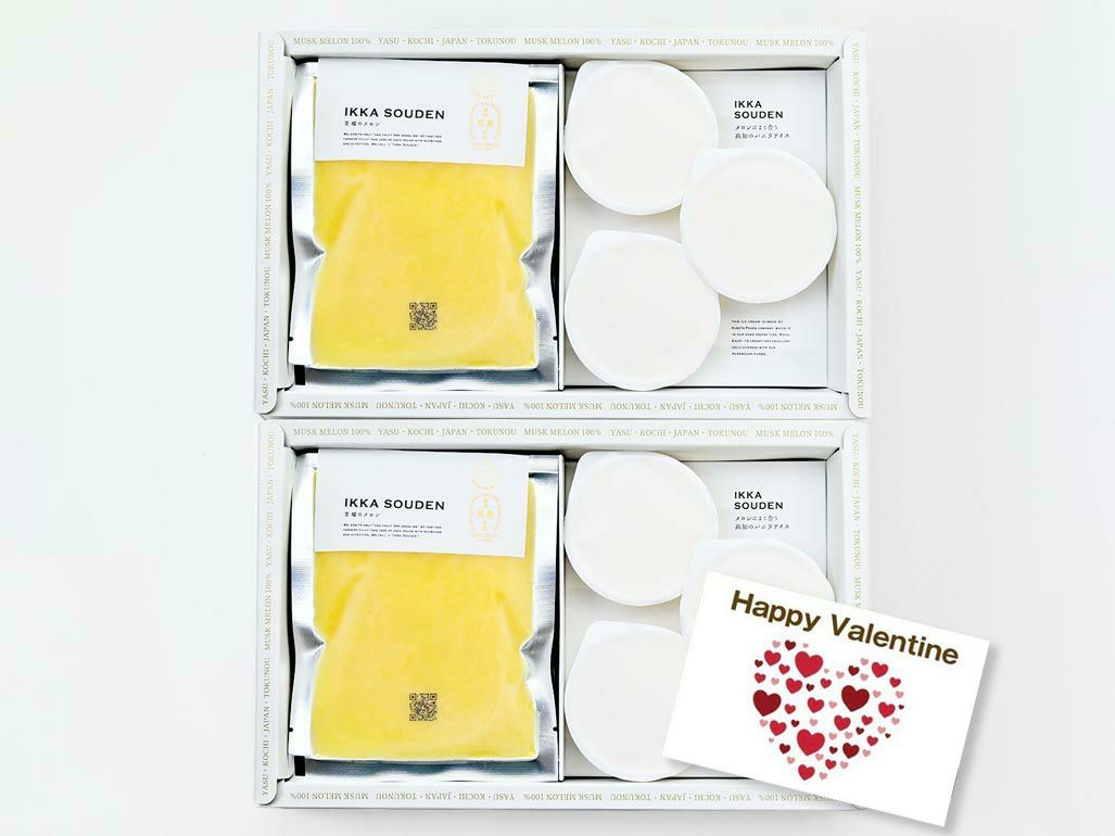 マスクメロンのピューレ3袋と高知のバニラアイス3個【2箱】ハロウィン仕様