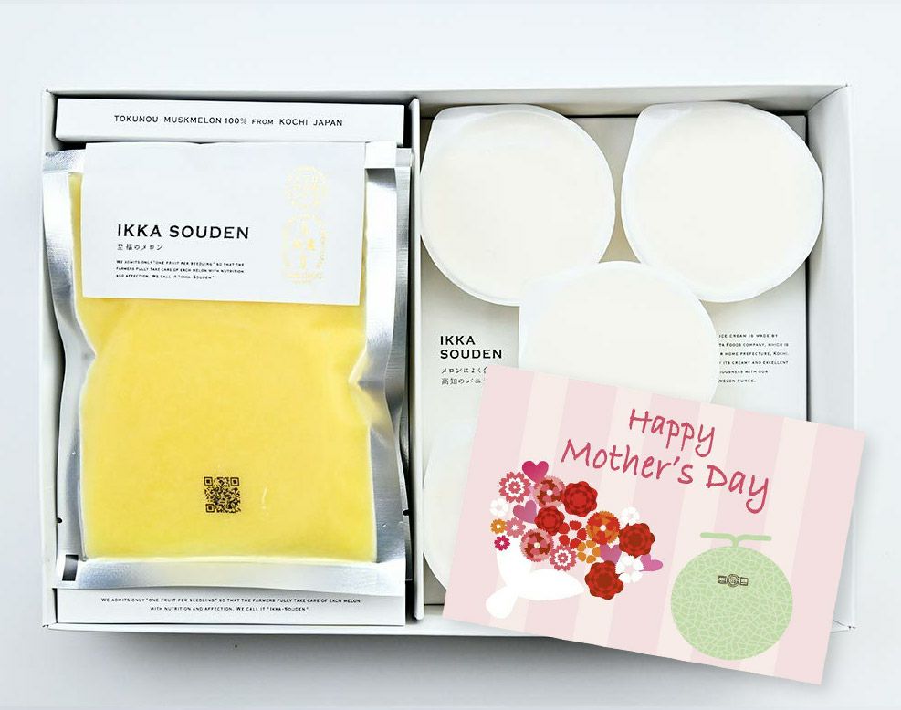 母の日 マスクメロンのピューレ5袋と高知のバニラアイス5個