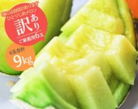 【ひとりじめメロン】マスクメロン6玉9kg以上