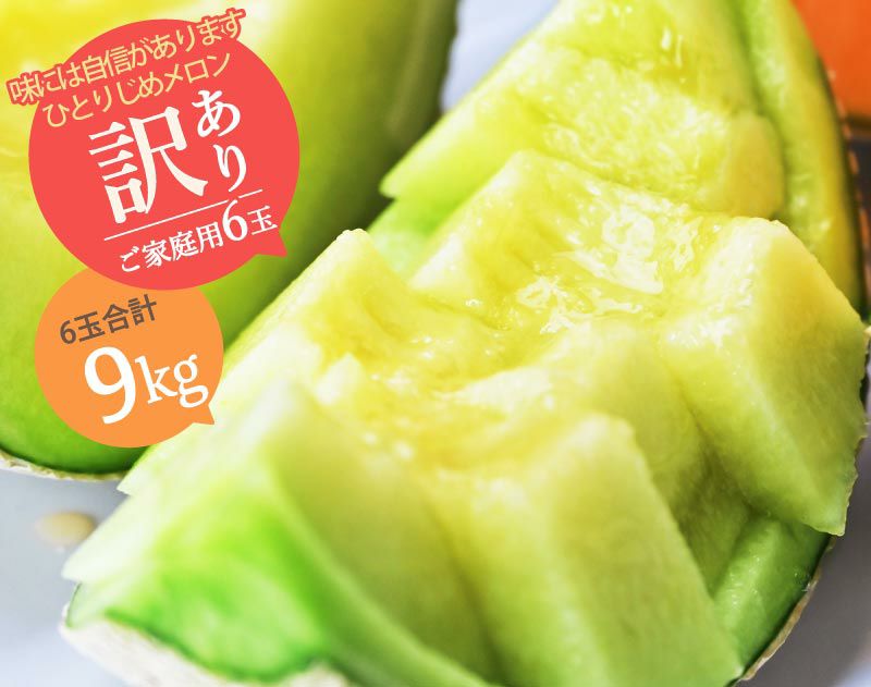 【ひとりじめメロン】マスクメロン6玉9kg以上