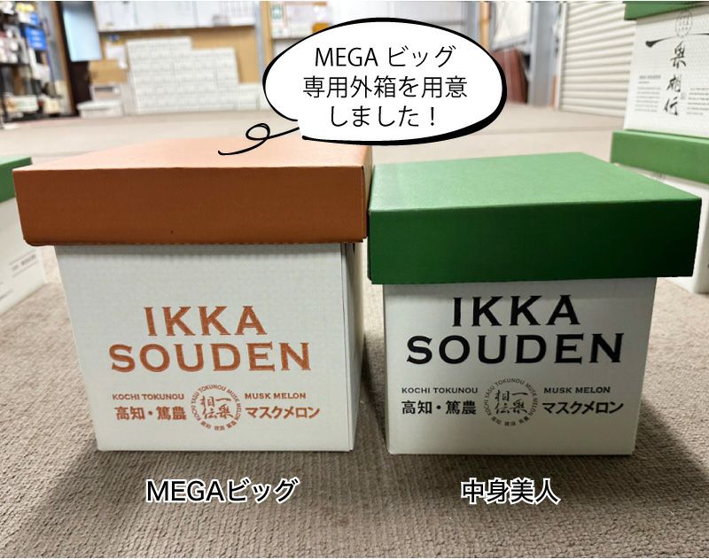 外はこ