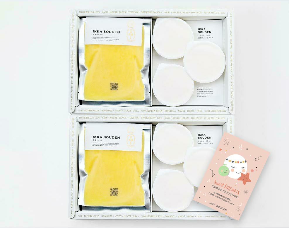 出産祝い マスクメロンのピューレ5袋と高知のバニラアイス5個【2箱】