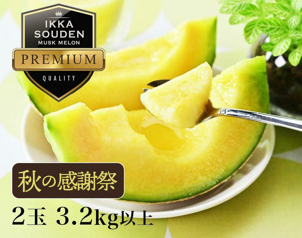 【特選】花包みマスクメロン2玉3.2kg以上