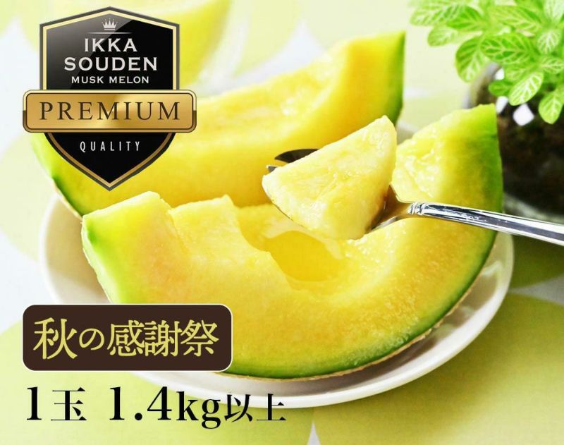 【特選】花包みマスクメロン1玉1.4kg以上