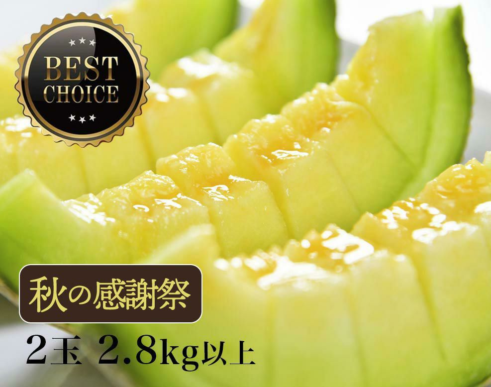 【上級品】マスクメロン2玉2.8kg以上