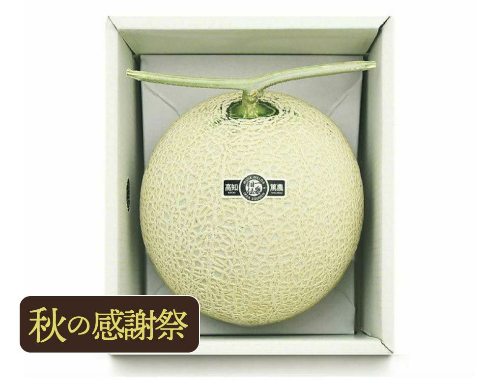 【良品】マスクメロン1玉1.4kg以上