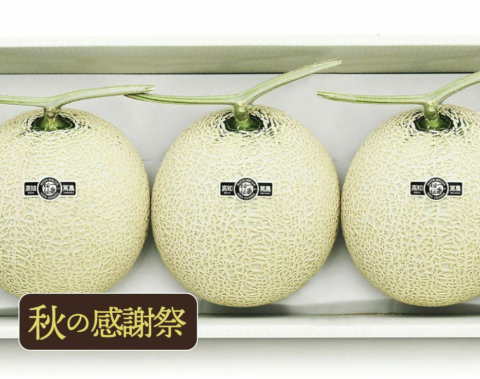 【中身美人】マスクメロン3玉4.5kg以上