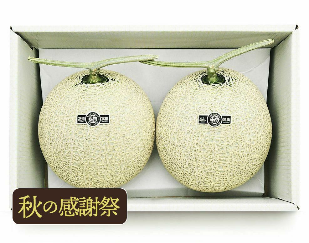 【中身美人】マスクメロン2玉3kg以上