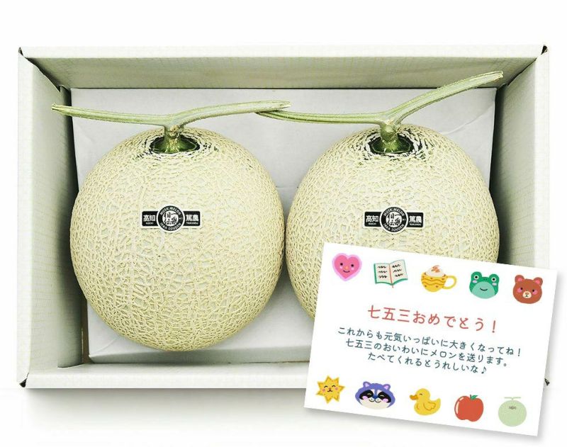 【中身美人】七五三 マスクメロン2玉2.8kg以上